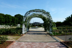 2014/06/15_伊奈バラ園