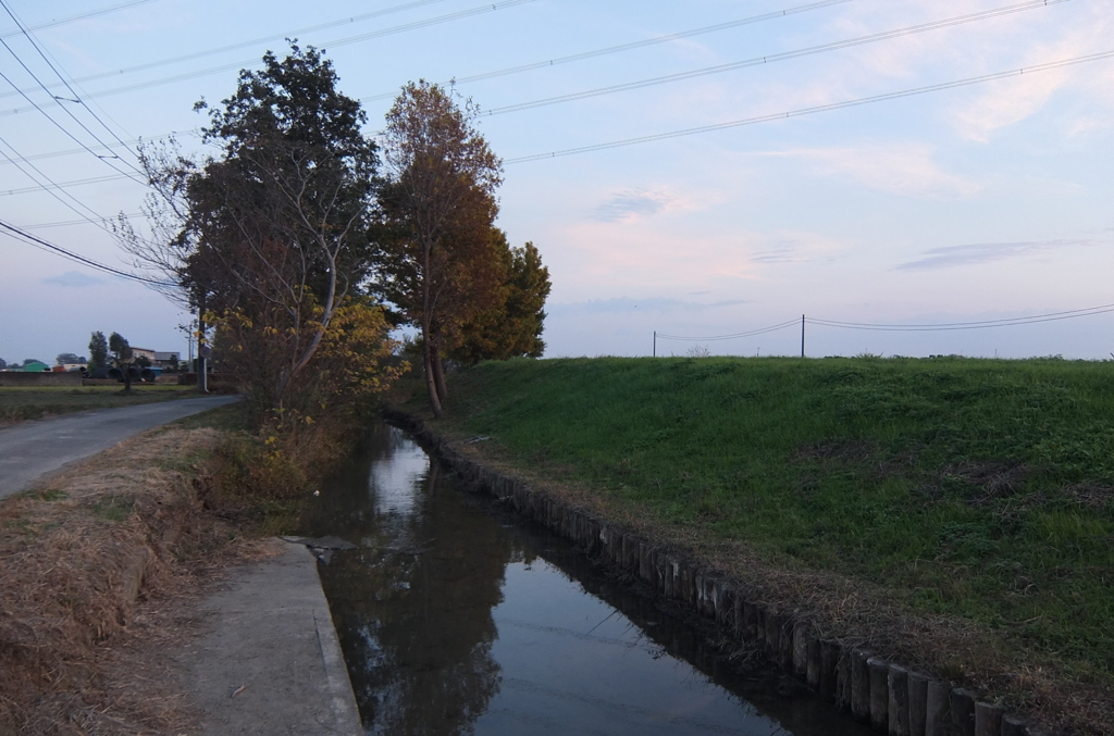 2014/11/23_夕暮れの小川