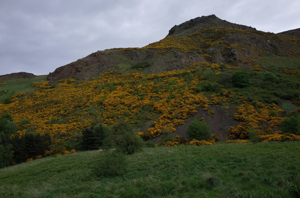 2016/05/20_アーサーズ・シート