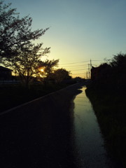 2017/04/15_夕暮れ桜と水溜まり