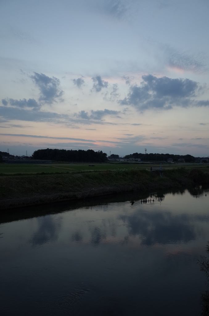 2014/10/19_元荒川の夕暮れ