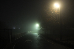 2014/11/29_霧の夜道