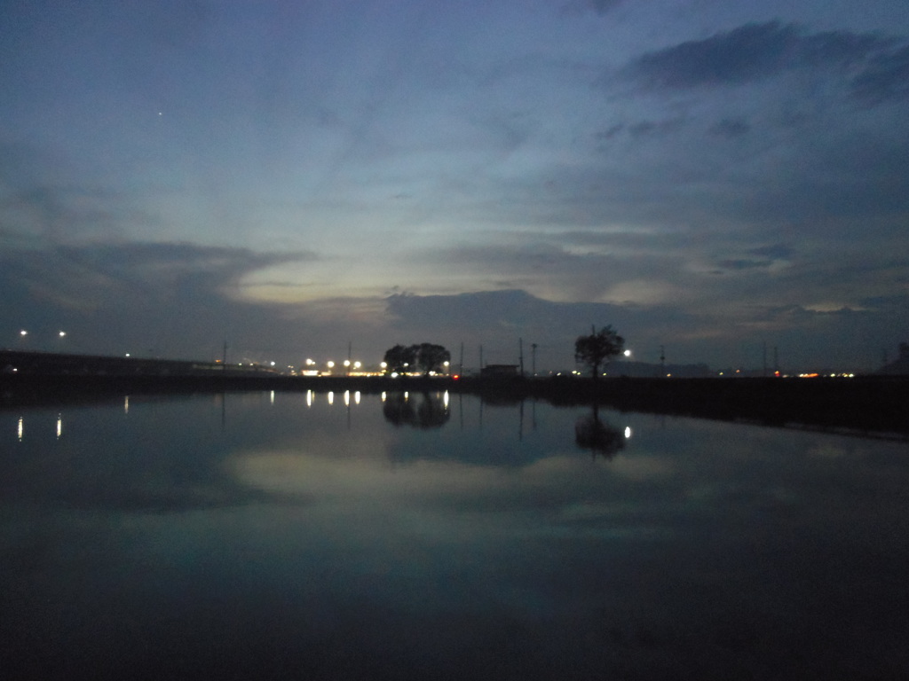 2016/11/20_溜め池の夕暮れ
