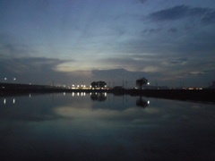 2016/11/20_溜め池の夕暮れ