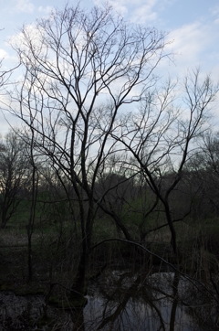 2016/03/26_北本自然観察公園