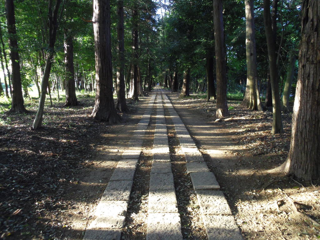 2017/05/04_神明神社参道