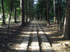 2017/05/04_神明神社参道