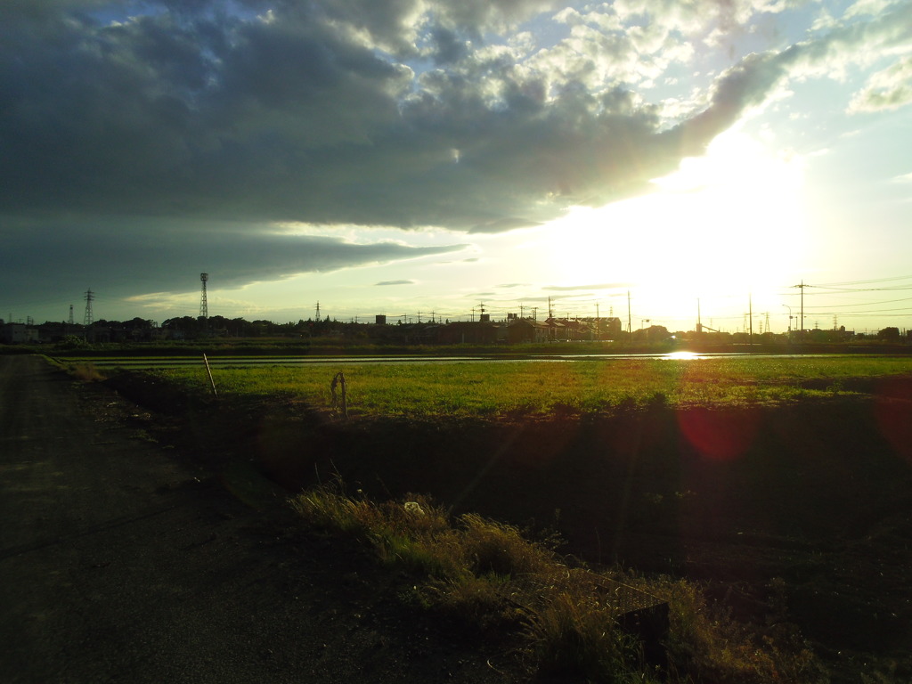 2017/06/04_西日を浴びる田園