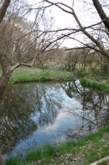 2016/03/26_北本自然観察公園