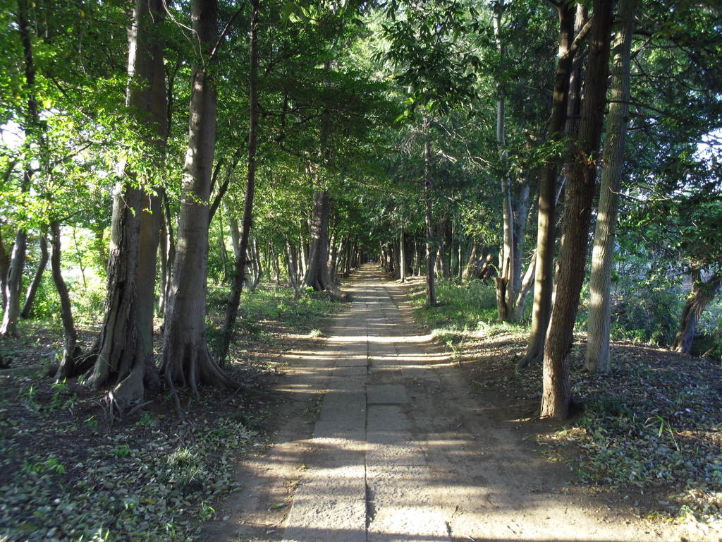 2017/05/04_神明神社参道