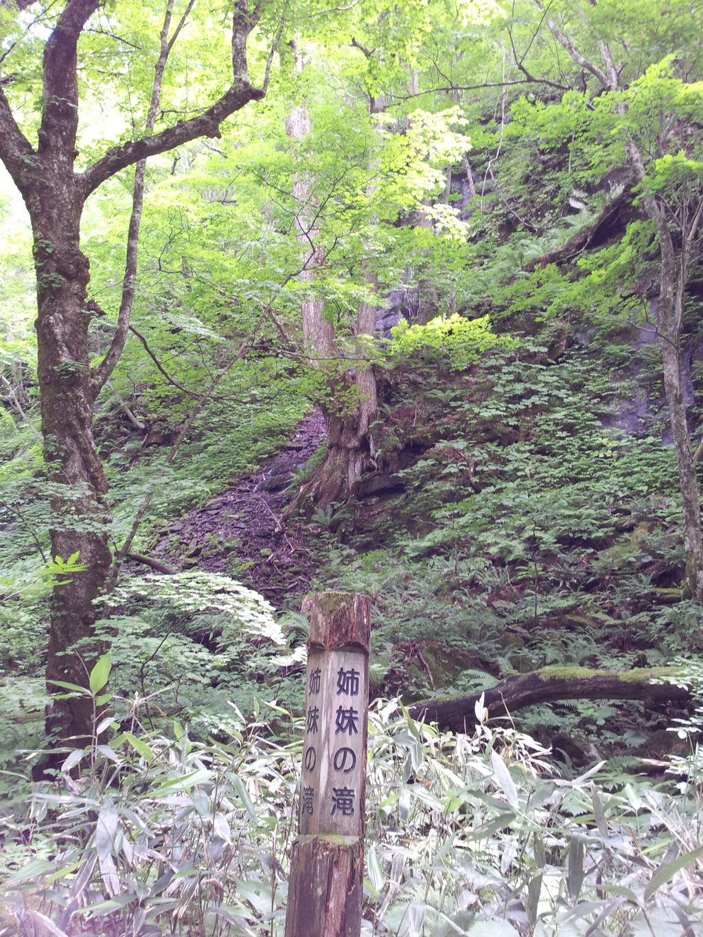 2018/07/16_奥入瀬渓流沿いの姉妹の滝