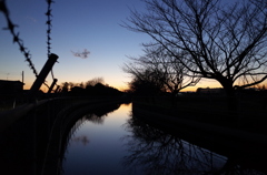 2015/12/26_見沼代用水の夕暮れ