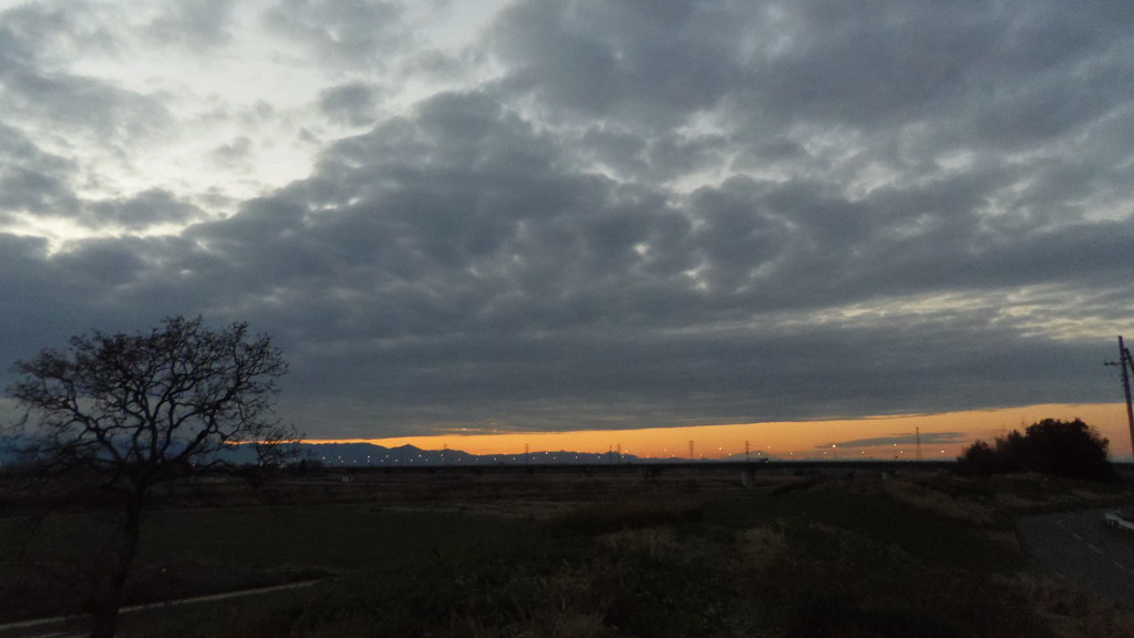 2014/01/05_夕暮れの木と太郎右衛門橋