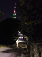 2017/06/17_Nソウルタワーへの夜道