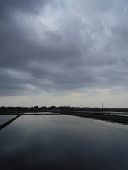 2017/05/27_水田の曇天