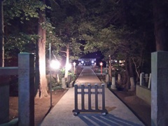 2016/12/31_大晦日の夜の小室氷川神社