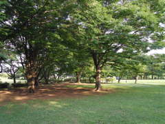 2017/07/09_さきたま古墳公園