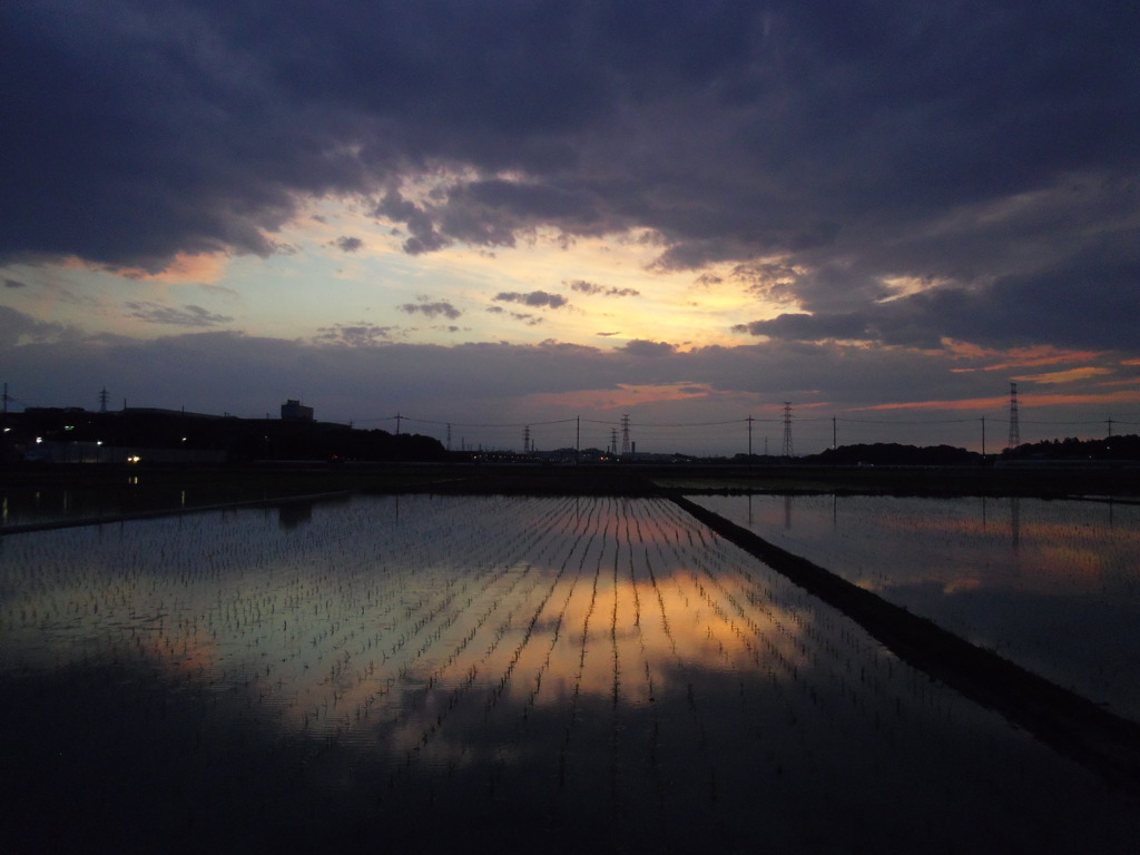 2017/06/10_水田の夕暮れ