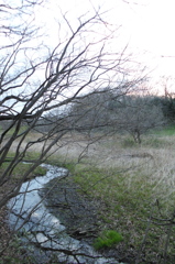 2016/03/26_北本自然観察公園