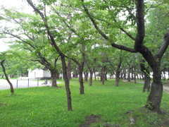 2018/07/16_合浦公園