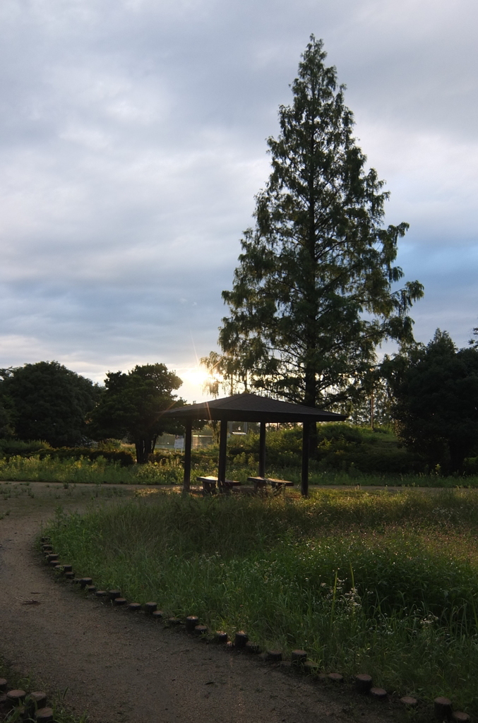 2014/06/29_夕暮れの伊奈町制施行記念公園