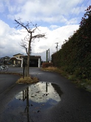 2016/12/10_新魚津駅前の水溜まりと空