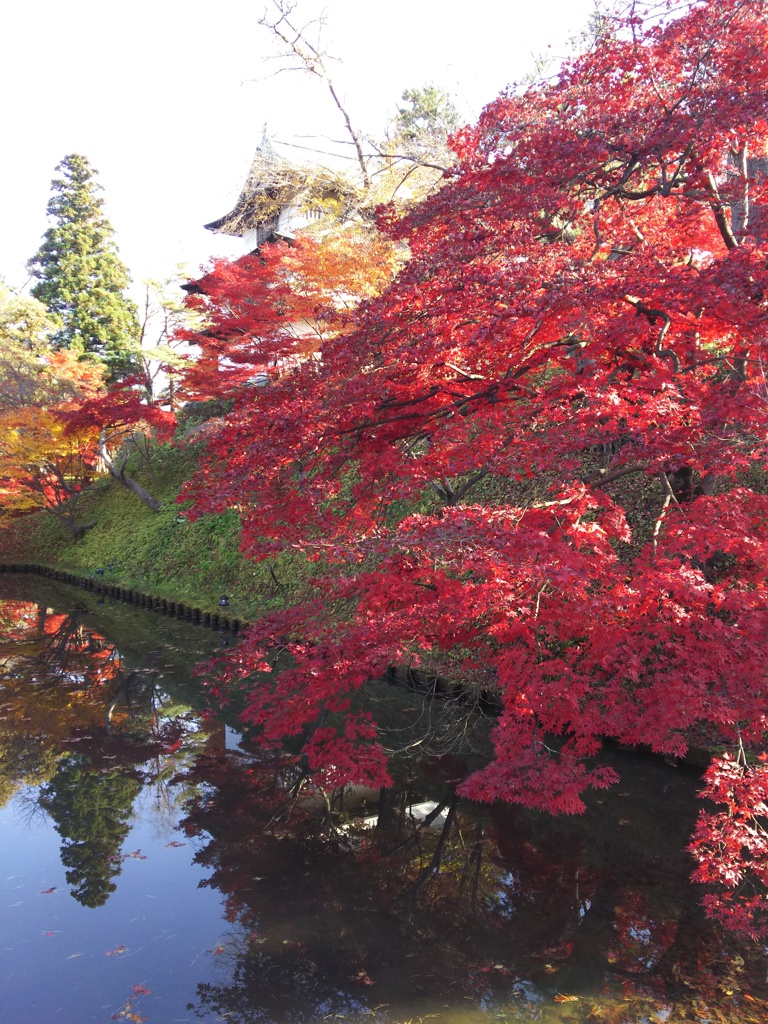 2016/11/14_弘前公園 中濠の紅葉と丑寅櫓