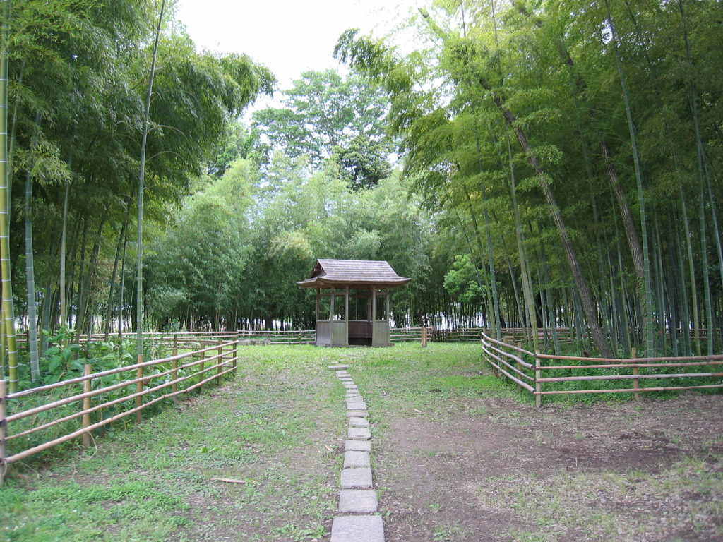 2012/06/10_竹林公園
