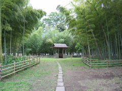 2012/06/10_竹林公園