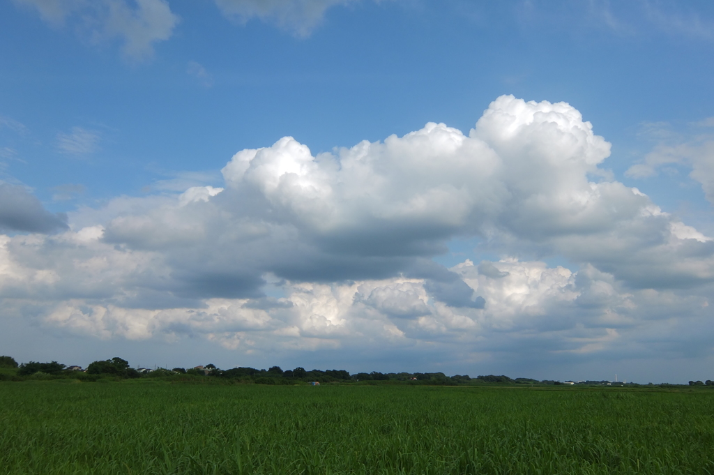 2014/07/20_夏空