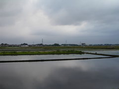 2017/05/27_水田の曇天