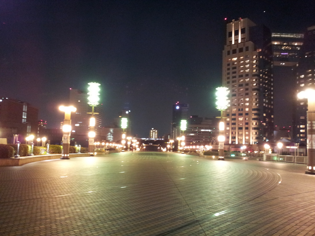 2014/01/01_夜の夢の大橋