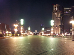 2014/01/01_夜の夢の大橋