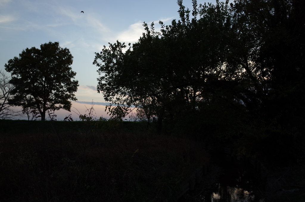 2014/11/23_夕暮れの小川