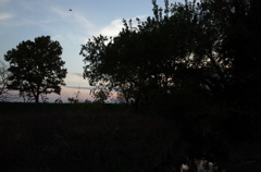 2014/11/23_夕暮れの小川