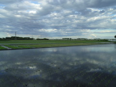 2017/06/04_水田に雲