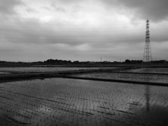 2017/05/27_水田の曇天