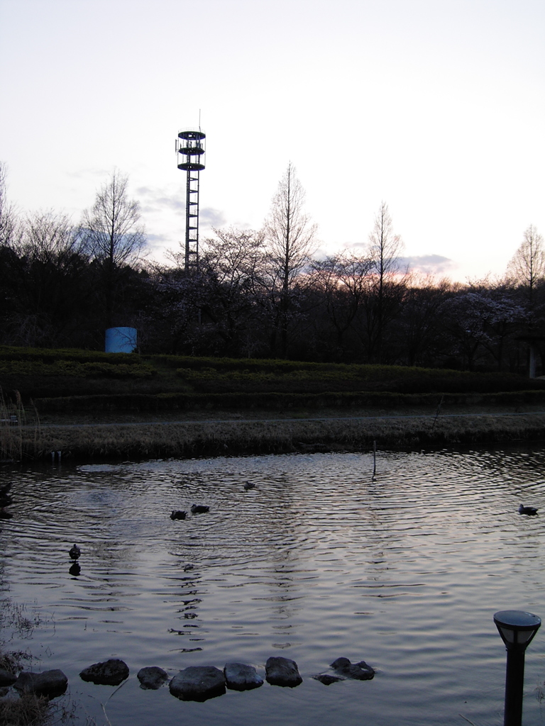 2017/04/02_花の丘農林公苑の夕暮れ