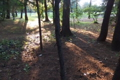 2015/05/24_夕暮れのゴルフ場