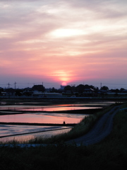 2017/05/21_水田の夕日