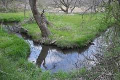 2016/03/26_北本自然観察公園