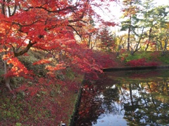 2016/11/14_弘前公園 中濠