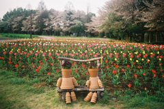 2016/04/09_花の丘農林公苑のチューリップ（と桜）