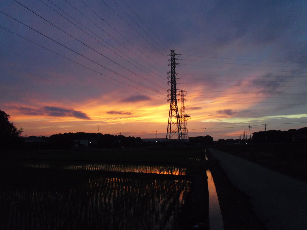 2017/06/25_水田の夕暮れ