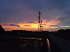2017/06/25_水田の夕暮れ