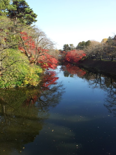 2016/11/14_弘前公園 中濠