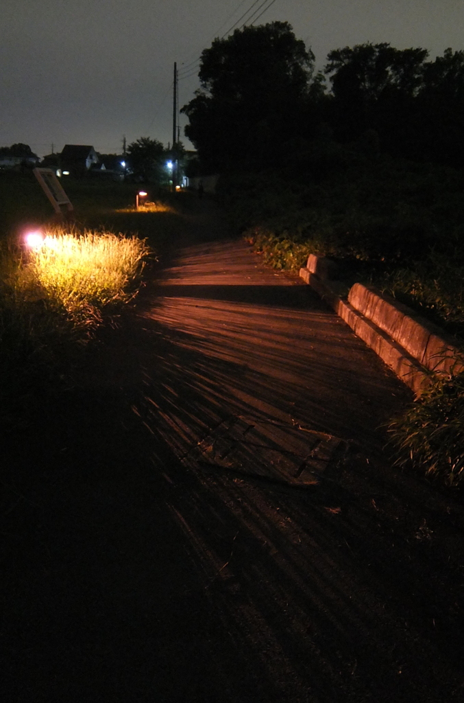 2014/08/17_夜のさきたま古墳公園