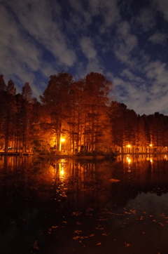 2014/12/07_夕暮れの別所沼公園