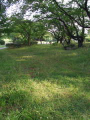2017/07/09_さきたま古墳公園