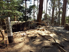 2019/04/13_鞍馬寺 大杉権現社跡?